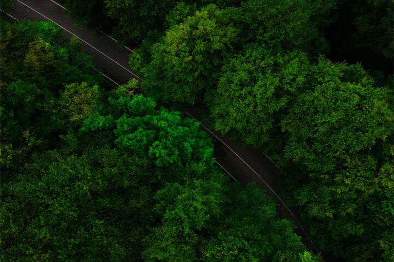 mushegh-hakobyan-QOMqVVzJbzs-unsplash